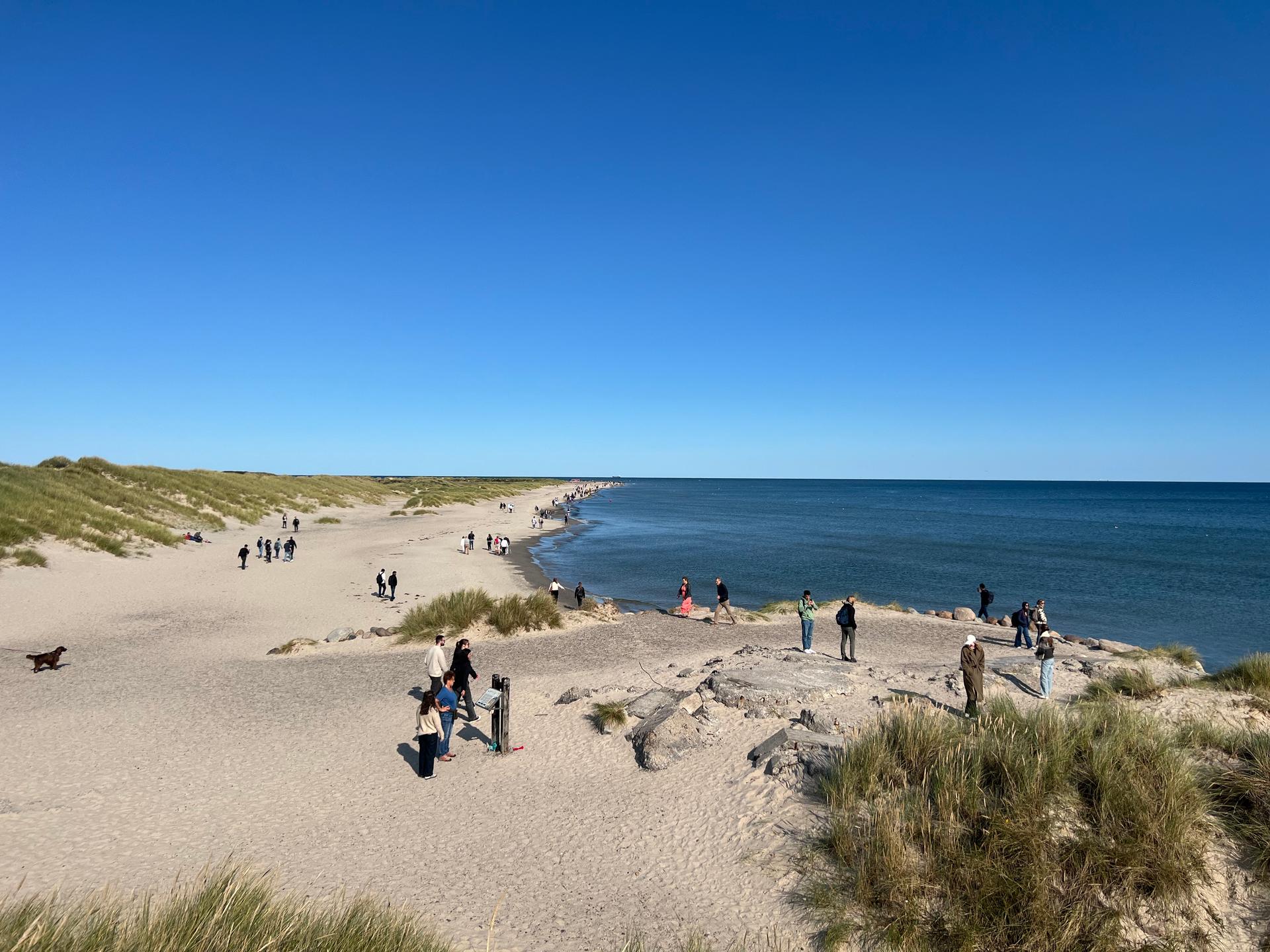 Trip to Skagen, Grenen